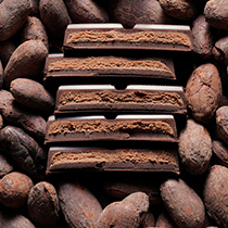 Шоколад горький "Фундук", 72% какао Mojo Cacao | интернет-магазин натуральных товаров 4fresh.ru - фото 3