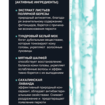 Шампунь против перхоти "Polar birch" Natura Siberica | интернет-магазин натуральных товаров 4fresh.ru - фото 4