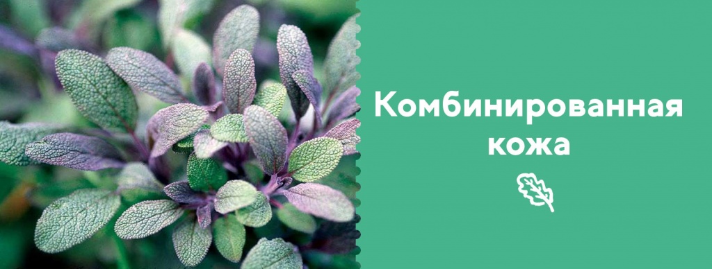 Комбинированная кожа